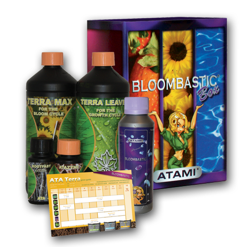 ATAMI ATA/Terra Bloombastic Box