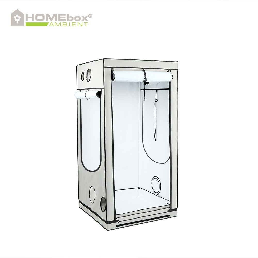 Homebox Ambient Q 100, 100x100x200 cm