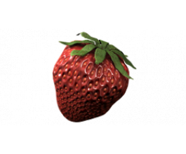 Xtrem Gardening MYKOS®Root Packs 50x10g, ve slevě