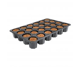 ROOT!T Dry Peat Free - 24 Cell Filled Tray