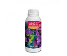 Candy Glue Explosion - metabolický stimulátor, 250 ml