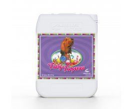 Advanced Nutrients Tasty Terpenes 10 L