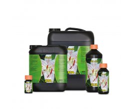 Atami ATA-XL, 10L