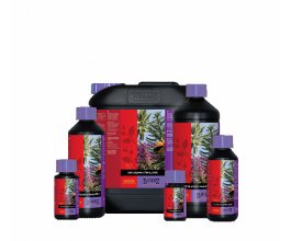 Atami B´cuzz Coco Bloom Stimulator, 5L, ve slevě