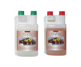 Canna Coco A+B, 1l