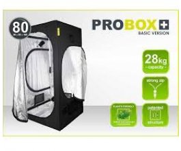 PROBOX BASIC 80, 80x80x160cm