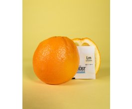 Integra Boost 62% 4g, limonene, 1 ks
