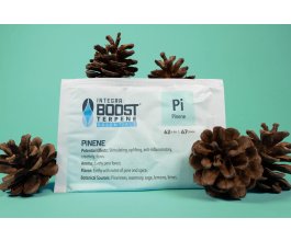 Integra Boost 62% 67g, PINENE, 1ks