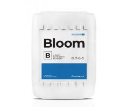 Athena Bloom B 18,9l