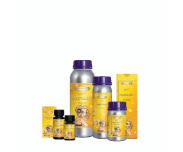 Atami ATA Rootbastic, 1250ml, ve slevě