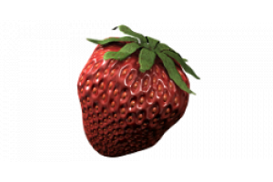 Xtrem Gardening MYKOS®Root Packs 50x10g, ve slevě