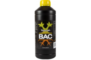 B.A.C. Yuccah, 1L