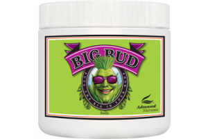 Advanced Nutrients Big Bud Powder 130g