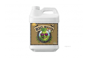 Advanced Nutrients Big Bud Coco Liquid 250 ml