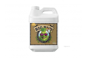 Advanced Nutrients Big Bud Coco Liquid 1 L