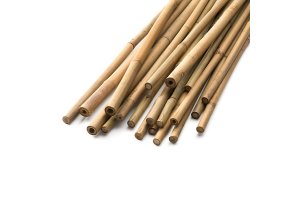 Bambusová tyčka 120cm, balení 25ks