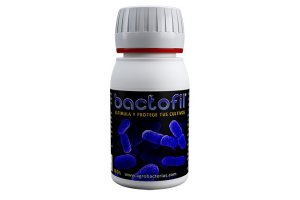 Bactofil, prášková směs bakterií, 50g
