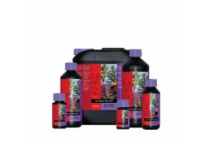 Atami B´cuzz Coco Bloom Stimulator, 1L, ve slevě