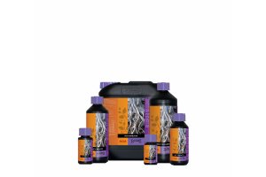 Atami B´cuzz Root Stimulator, 5L, ve slevě
