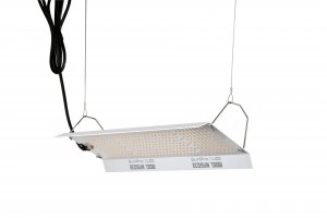 SunPro ECOSUN  Quantum board 130W, 2,6 umol, doprodej