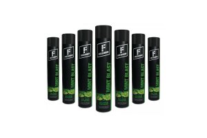 Osvěžovač vzduchu Freshhh!!! Mint Blast 750ml sprej