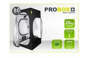 PROBOX BASIC 80, 80x80x160cm