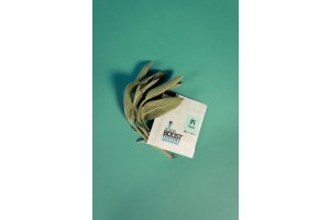 Integra Boost 62% 4g, PINENE, 1ks