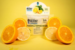 Integra Boost 62% 67g, LIMONENE, 1ks