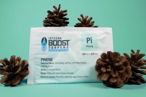 Integra Boost 62% 67g, PINENE, 1ks