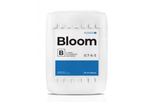 Athena Bloom B 18,9l