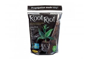 ROOT RIOT Rooting Sponges 50 - sadbovací kostky