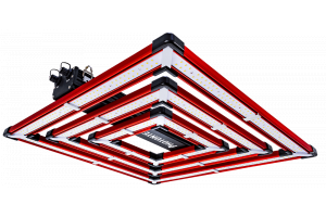 Photontek SQ 300W Pro LED