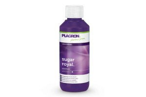Plagron Sugar Royal, 100ml