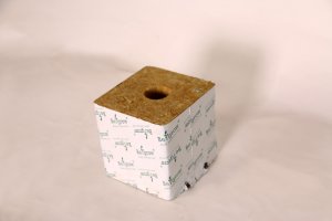 Begrow® pěstební kostka 100 x 100 x 100 mm, s malou dírou, 1 ks