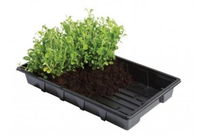 Garland Professional Gravel Tray 37x23,5x5cm, 5ks