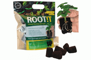 ROOT IT Natural Rooting Sponges- BOX