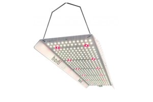 HortiONE 600 LED 220W Quantum board 2.9