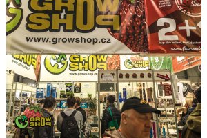 cannafest_prague_19.jpg