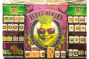 cannafest_prague_30.jpg
