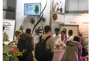 cannafest_prague_42.jpg