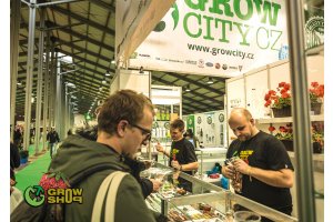 cannafest_prague_49.jpg