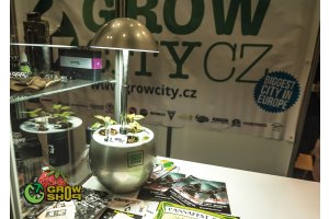 cannafest_prague_63.jpg