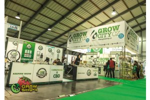 cannafest_prague_79.jpg