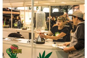 cannafest_prague_81.jpg