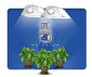 Exhale Bag, mycelium, přírodní generator CO2